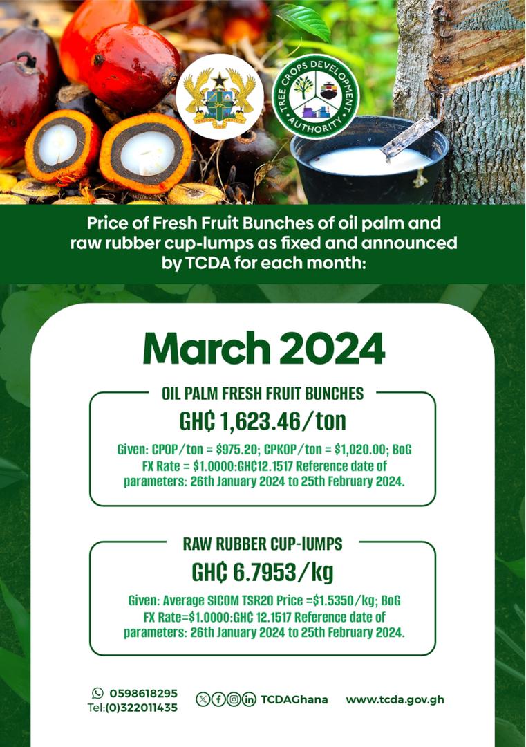 PHOTO 2024 03 01 12 11 08