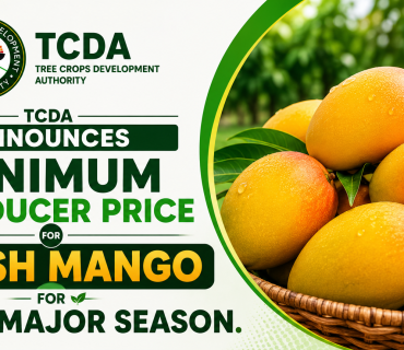 TCDA ANNOUNCES MINIMUM PRODUCER PRICE FOR FRESH MANGO FOR 2026 MAJOR SEASON AT GHS 5.22 PER KILOGRAM.