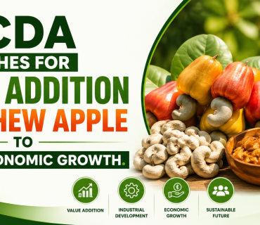 TCDA BOSS DR. ANDY OSEI OKRAH PUSHES FOR VALUE ADDITION IN CASHEW APPLE TO BOOST ECONOMIC GROWTH